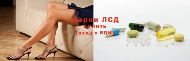 стаф Лабытнанги