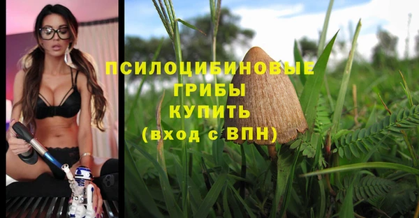 мдпв Надым