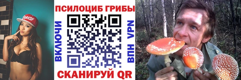 мега зеркало  Мичуринск  Галлюциногенные грибы мухоморы  продажа наркотиков 