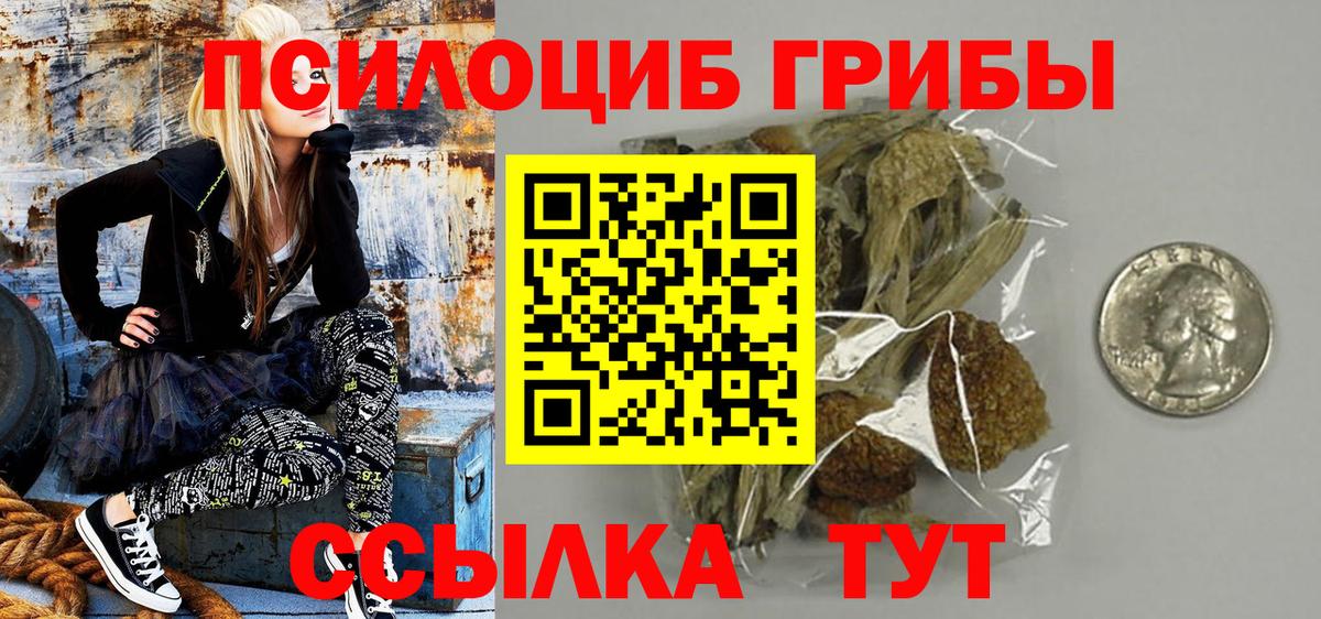 Псилоцибиновые грибы Psilocybine cubensis Мичуринск