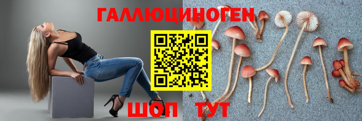 Мичуринск  Псилоцибиновые грибы Psilocybine cubensis  Вход с VPN 